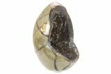 Septarian Dragon Egg Geode - Black Crystals #253750-1